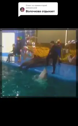 Ответ пользователю @alekseicvet2