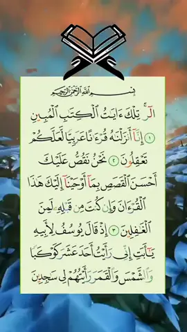 #🦋 #ماشاءالله #قورئانی_پیرۆز🌹 @omar_osman2