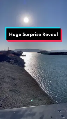 The Surprise Reveal… #icecreamrolls #surprise #viral #Fyp