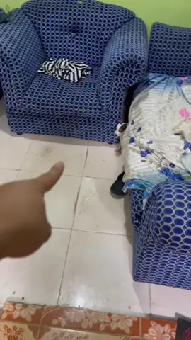 Sakpan ang tunay na salarin🥴#chiuhuahuasoftiktok