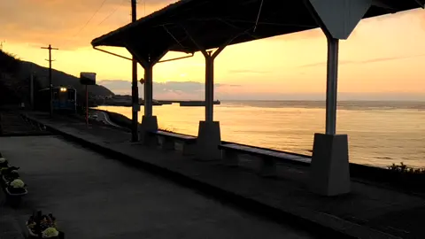 spirited away bus stop ❤️  #Love #ijustneedyou #spritedaway #japan #studioghibli