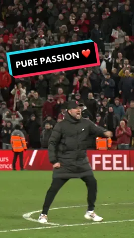 Pure passion ❤️ #Klopp #LFC #Liverpool #fyp #foryoupage