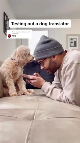 Reply to @primordialcrescent seems real to me 😳 #dogsofttiktok #trending #fypage #dogs #trend #animallover #PetsOfTikTok