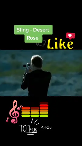 #Sting - Desert Rose