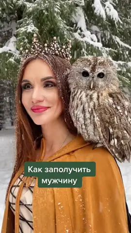Миром правит любовь💕 и мудрость🦉