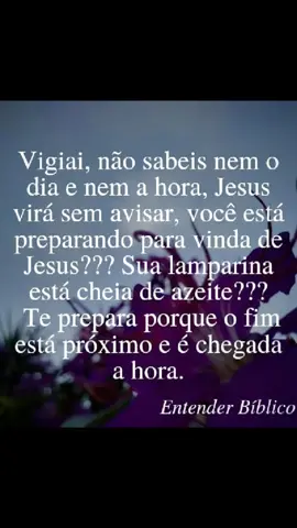 #apocalypse #jesusestavoltando #acordaigreja #arrebatamento #profecia #deusdeisrael #tiktokcristao #frasedodia