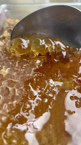 Peeling Honey Comb asmr #asmr #honeyasmr #tiktokasmr #fyp #foryou #foodporn #honey #jarhoney #honeycomb #viral #satisfying #satisfyingsounds
