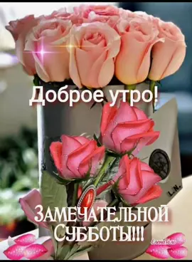 #доброеутродрузья #ссубботой