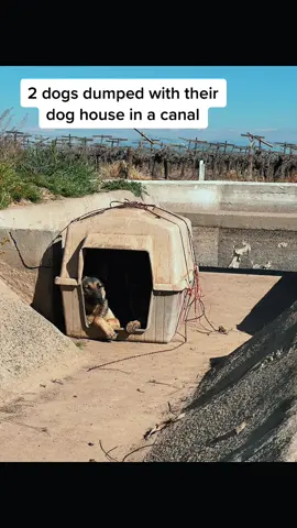 You never know what the day will bring.  #fypシ #aco #acolife #foryoupage #559 #rescue #animalsoftiktok #lovemyjob