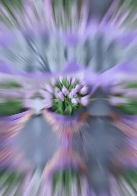 Доброе утро