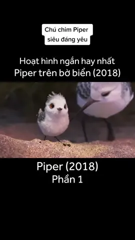 Piper trên bờ biển (Phần 1) #pixar #shortanimation