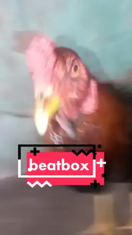 beatbox👍#richardgalo #fy #fyp #fypシ