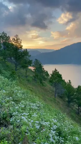 Sai Anju Ma Au Hasian ❤️