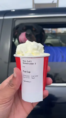 Reply to @thequeenellyy sorry 🥺 #PetsOfTikTok #rottweiler #dogsofttiktok #BlackTikTok #BestFriends #starbucks #SupportBlack #corememories #besties