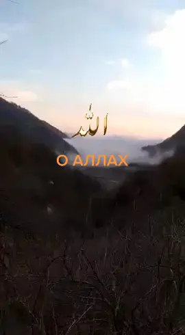 о АЛЛАХ