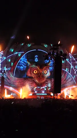 Recomendaciones de papá para el EDC #edc #festival