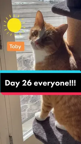 #PepsiApplePieChallenge #sun #mh #fyp