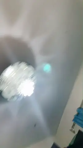 #الجزائر🇩🇿 #تونس🇹🇳 #المغرب🇲🇦