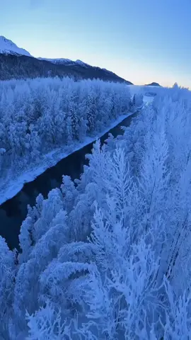 #ВСЕМДОБРАИЛЮБВИ