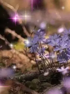 #доброеутро🌹🌷🥀💖💋 #всемдобраилюбви❤️❤️❤️