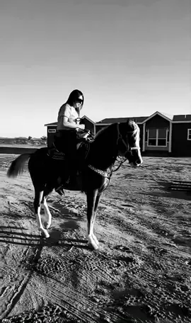 🌅🐎❤️
