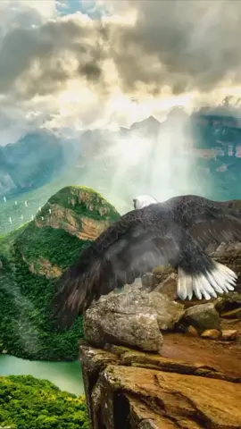 ##благословенногодня