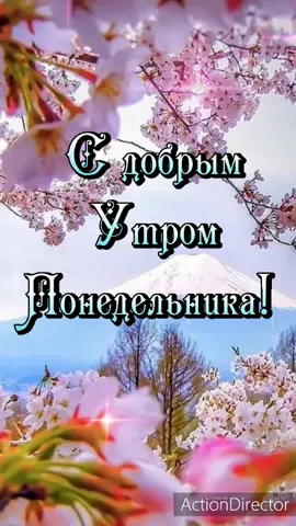 С добрым утром понедельника!