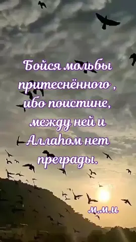 Аллаh Всемогущий ☝️☝️☝️#мусульмане #врек