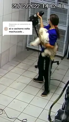 Responder @bndecor 🙏🏻❤️