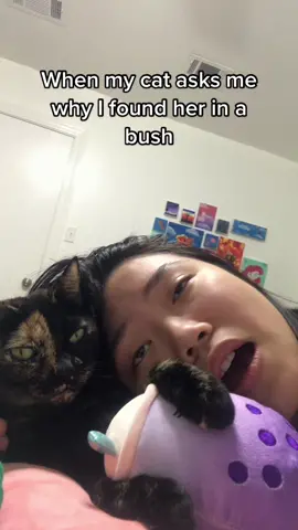 She actually asked me that in her human words.