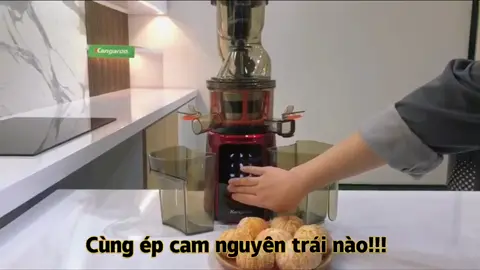 Review máy ép chậm Kangaroo KG200SJD1 với ống ép hoa quả cỡ đại, dễ dàng ép nguyên trái cam! #Tapdoankangaroo #mayepchamkangaroo #mayepcham #kg200sjd1