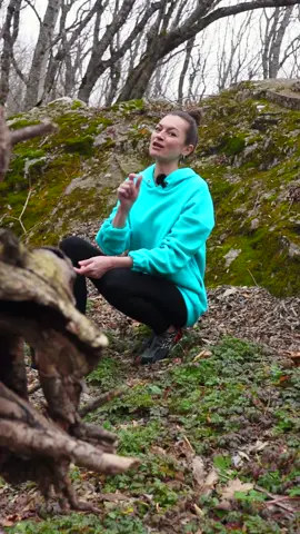 Всегда в лес беру с собой Кресло,вы ведь тоже правда? #закуски #бекон #вкуснеесвелком #велкомвершинакачества