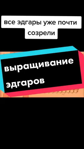 тутор на выращивание эдгаров
