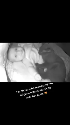 She was sick and soaked everything, I was washing as fast as I could. I think kitty knew ❤️#fyp  #LunaAndKallie #wholesome #kitty