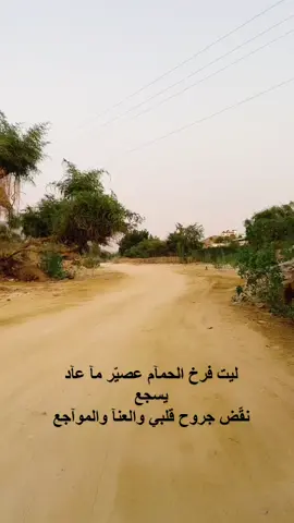 #اكسبلورexplore #لايكexplore #اكسبلور_تيك #ابها_الان #تهامه #الجنوب #شيلات