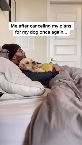 I don’t 🤷🏽‍♂️ #dogsoftiktok #PetsOfTikTok #fyp