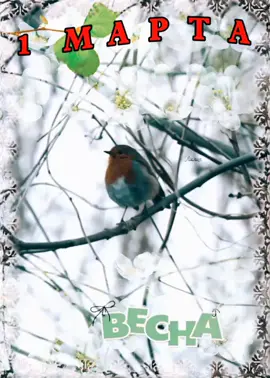 #1марта #любимым💑 #рек