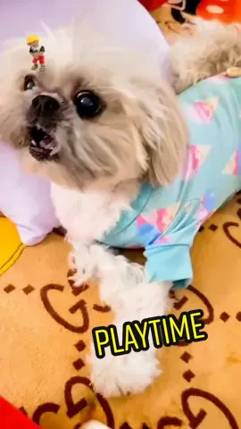 PLAYTIME with Mommy #Peewee  #followformore