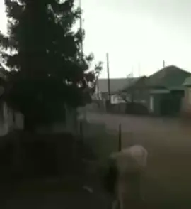 #спонсируется