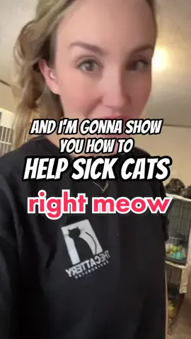 Sneezies don’t bother us! Can ya help? #howto #savecats #savelives #rescue #rescuecats #helpwanted #uri #sickcat #sick