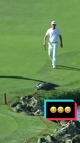 L8r g8tr 😅🐊 #golf #PGATOUR #animals
