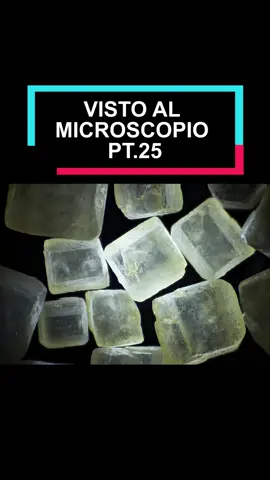 Avete indovinato l'ultima? #perte #virale #game #funny