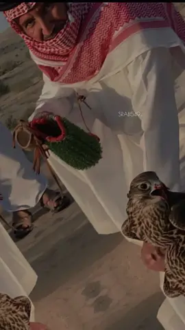 #خالد_عبدالرحمن #يا_طير ❤️🎶