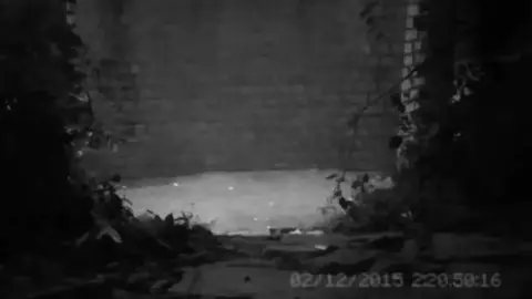 #мистика #паранормальное #нло #scary #horror