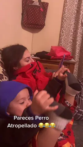 #perro#atropellado#broma#joke