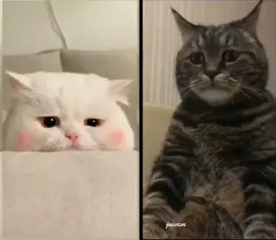 Allah takkan hadirkan seseorang tanpa sebab  #motivation #positivevibes #quotes #fypシ #fypage