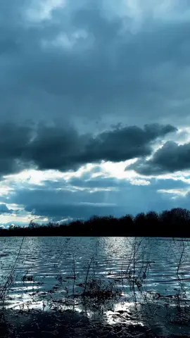 #цитатысосмыслом