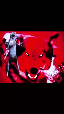 AUUUUUUU 🐺🐺 #fyp #kurtadam #auuuu #yaşasınırkımız🤘🏻🐺🇹🇷
