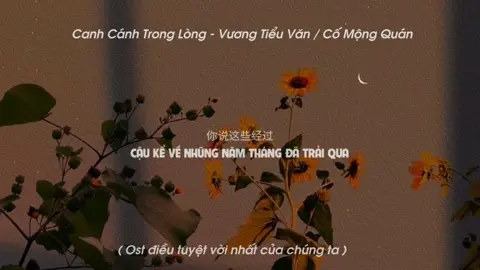 Canh Cánh Trong Lòng | Vương Tiểu Văn | #comongquan #canhcanhtronglong #nhaccophong #nhactrungquoc #xuhuong