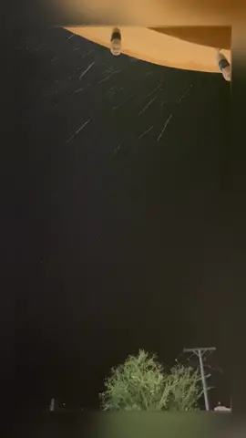 دام النعم زايله والعافيه ماتدوم                                      #عبدالله_الحلافي  #اكبلورررررر ✋🏻🌺❤️🥰